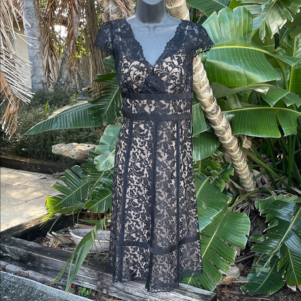 loft lace, sheer dress with fringe edge